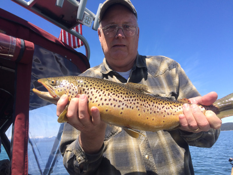 Lake Almanor Fishing Report 4/29/19