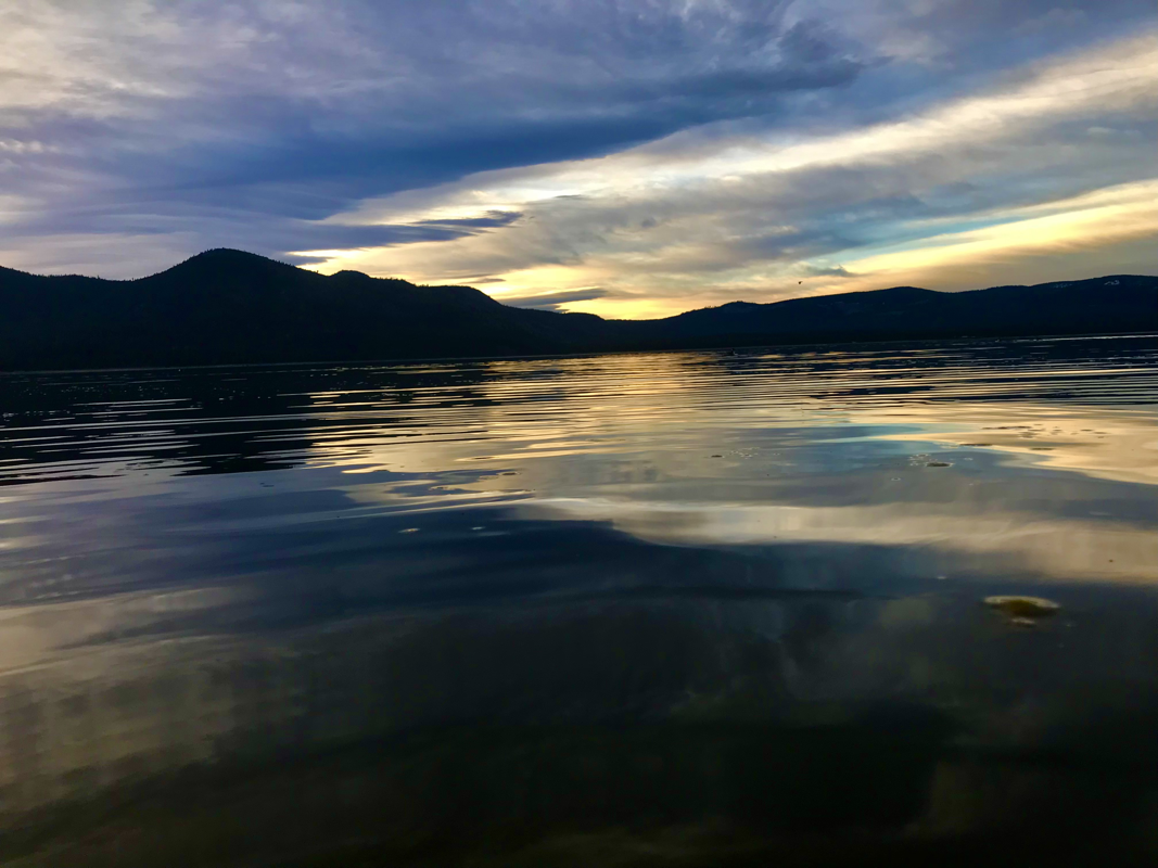 Lake Almanor Fishing Report And The Corona Virus