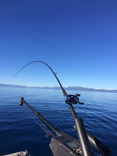 Locked and Loaded at Lake Tahoe www.bigdaddyfishing.com