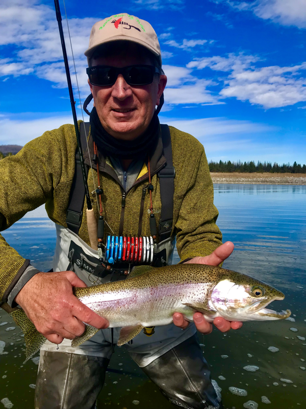 Eagle Lake Rainbow on the fly. www.bigdaddyfishing.com